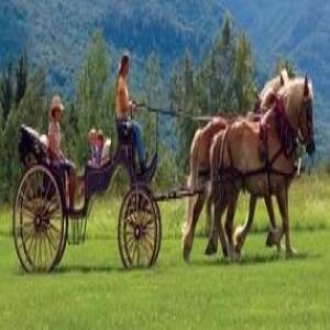 Wanted: Visionary Wisdom Image